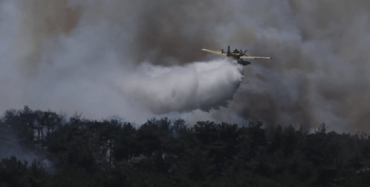 Bursa'da orman yangını çıktı: Ekiplerin müdahalesi sürüyor