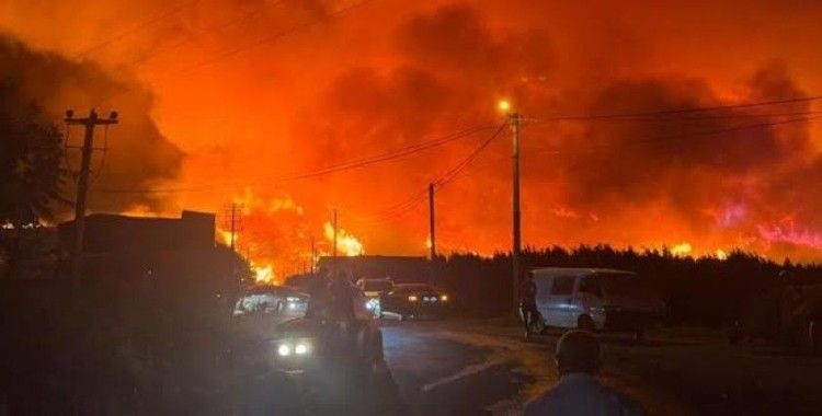 Bursa'da yine orman yangını çıktı: Ekiplerin müdahalesi sürüyor