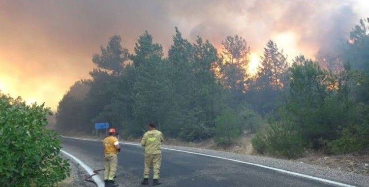 Karabük'te orman yangını çıktı: Valilikten ilk açıklama