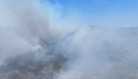 Düzce Yığılca'da yangın: Ekipler karadan ve havadan müdahale ediyor