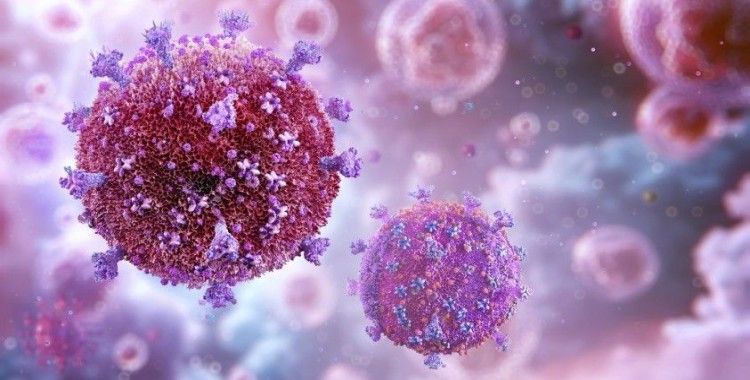 Maldivler, HIV, frengi ve hepatit B'nin anneden çocuğa bulaşmasını 'üçlü olarak ortadan kaldıran' ilk ülke oldu
