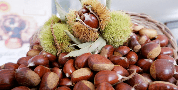 Sezonun ilk kestaneleri satıldı: İlk mahsul 550 TL