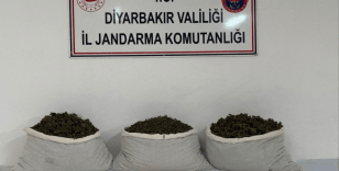 Diyarbakır’da uyuşturucu operasyonları