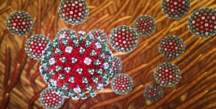 Kuzey Yarımküre'de 'H3N2' alarmı