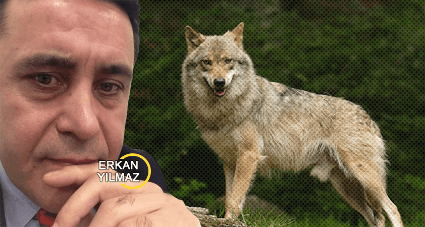 Kurt Kanunu… Ebabil Operasyonu… Vurun kahpeye