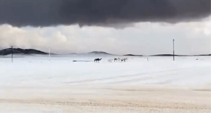 Arabistan'a kar yağdı mı? Arabistan'ın neresine kar yağdı , Kabe'ye Mekke'ye kar yağdı mı?