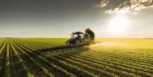 TÜİK açıkladı: 'Tarım Üretimi 2025’te Sert Düştü'