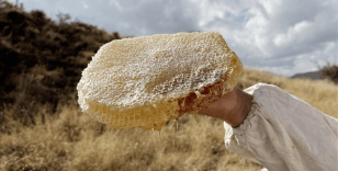 Ilgaz'da satılan bal dünyanın en pahalı balı olarak Guinness Rekorlar Kitabı'na girdi