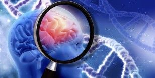 Alzheimer vakalarının yüzde 90’ı tek bir genle bağlantılı olabilir