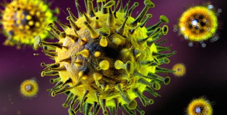 Nipah virüsü alarmı: Asya’da taramalar sıkılaştırıldı, ölüm oranı yüzde 40 ila yüzde 75