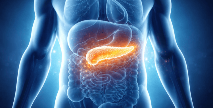 Pankreas kanseri tedavisinde yeni çalışma: Farelerde tümörler yok edildi