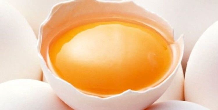 Bilim açıkladı: 'Tam Yumurta Kas Gelişiminde Yüzde 40 Daha Etkili'