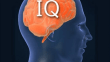 Yıllar ilerledikçe IQ seviyesi düşüyor