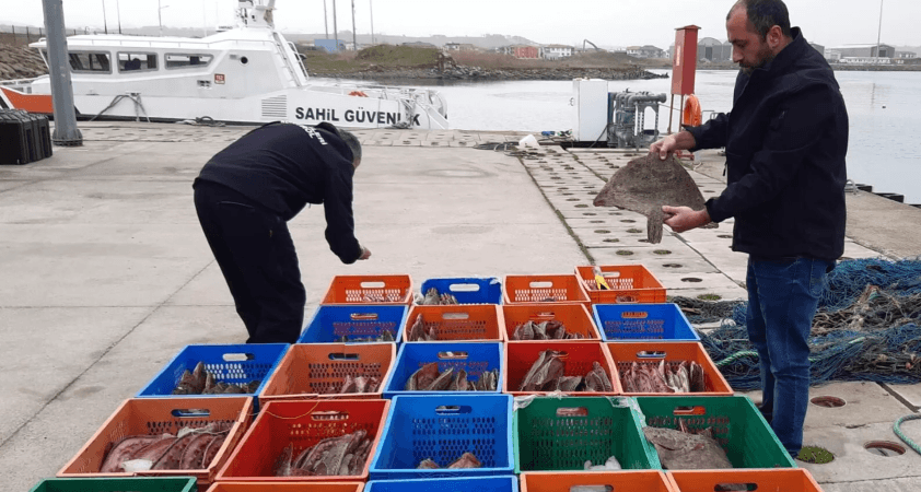 Yasal sınır aşıldı: Yaklaşık 1 ton balığa el konuldu