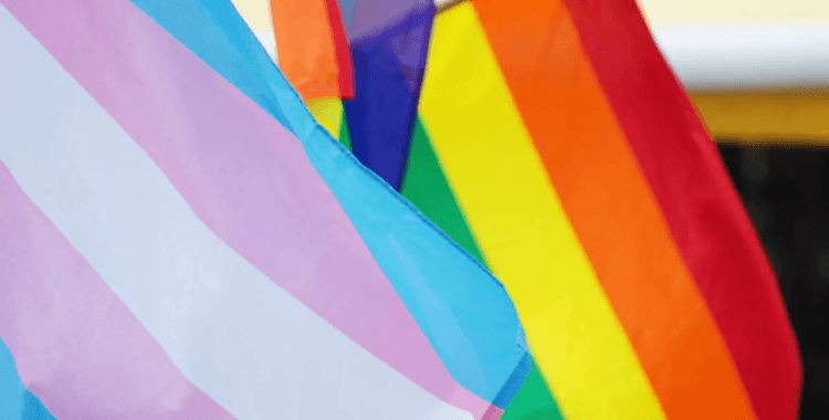 Türkiye Gazetesi duyurdu: LGBTİ+’lara hapis öngören taslak yeniden gündemde