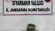 Diyarbakır’da 14 kilo esrar ele geçirildi