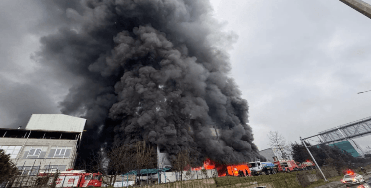 Trabzon'da fındık fabrikasında yangın