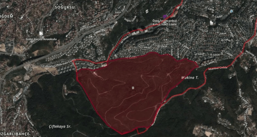 Beykoz’da ormanlık alan imara açıldı: Hissedar şirketin yöneticisi İBB itirafçısı olduğu iddia edilen isim çıktı