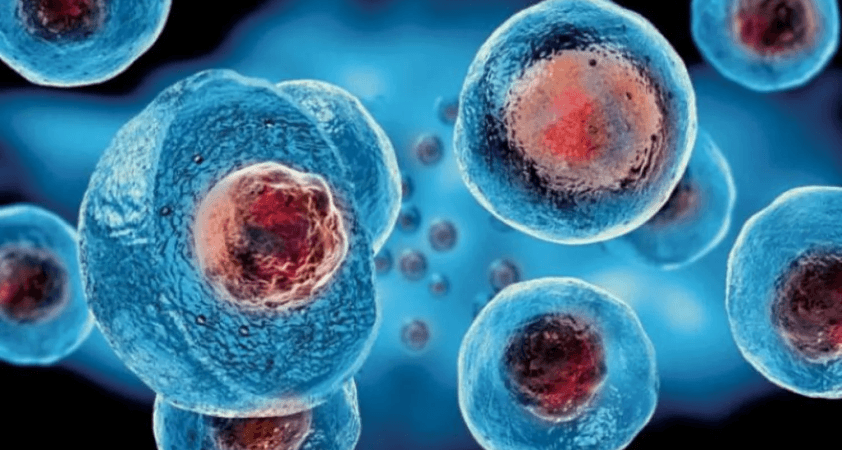 Japonya’da kök hücre araştırması: 'Saç Dökülmesine Karşı Yeni Umut'