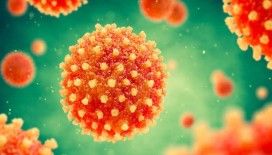 Türkiye'de bir ilk gerçekleşti: Hepatit A aşısında yeni dönem başladı