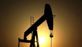 OPEC+ üyesi yedi ülkeden üretim artış kararı