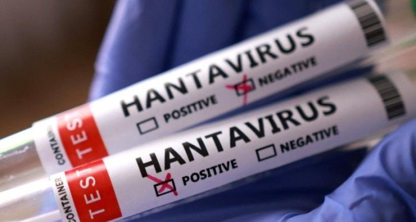 Sağlık Bakanlığı'ndan "hantavirüs" açıklaması