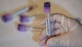 Hantavirüs görülen gemideki 3 Türk Türkiye’ye getiriliyor