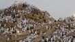 Hacı adayları Arafat'ta