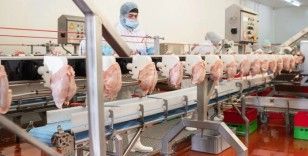 Beyaz et sektörüne operasyon: 13 şirkete denetim kayyımı atandı