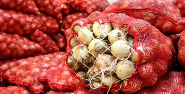 Kuru soğan ithalatında gümrük vergisi yüzde 5'e indirildi