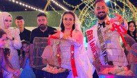 Düğünde altın yerine 100 civciv taktı