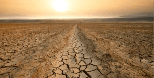 BM uyardı: El Nino 50 milyon kişiyi daha açlıkla karşı karşıya bırakabilir