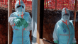 Ebola salgını durmuyor: Can kaybı 2 bini aştı