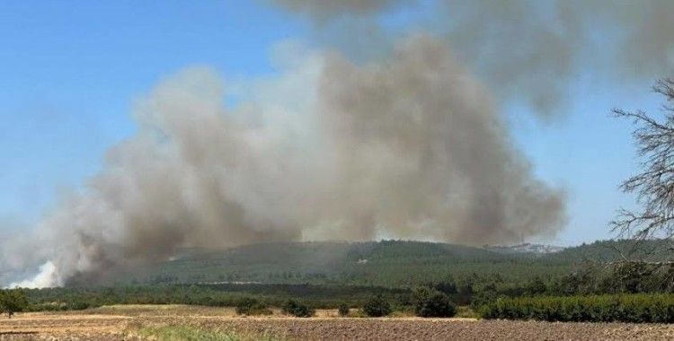Bursa'da 3 farklı noktada yangın çıktı: Ekipler bölgede
