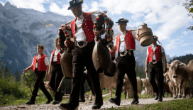 Züglete festivali: Süslenen inekler Gstaad sokaklarında