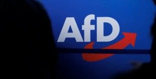 AfD'nin yükselişi Almanya Türk Toplumu'nda endişe yarattı