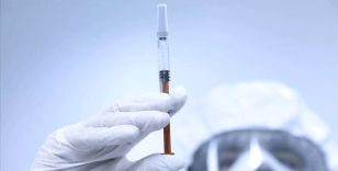 HIV araştırmalarında yeni dönem: Maymunlar üzerinde denendi, 4 yıl boyunca kanda tespit edilemedi